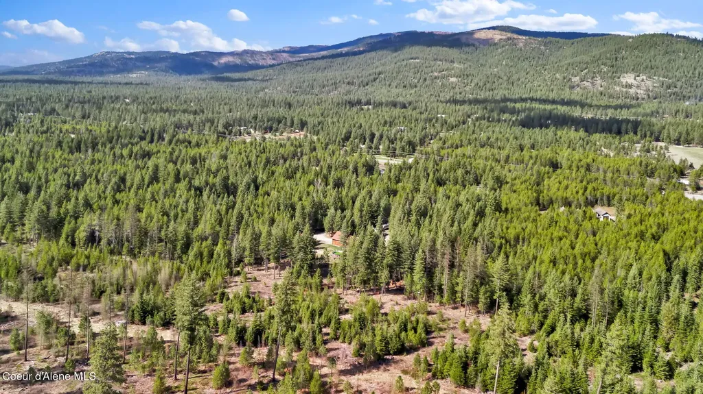 181 E Deer Meadow Lane Blanchard ID 83804