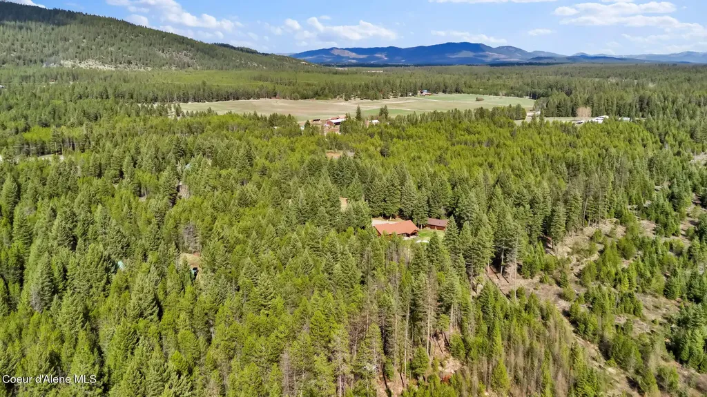 181 E Deer Meadow Lane Blanchard ID 83804