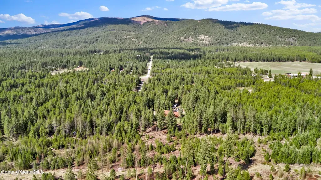 181 E Deer Meadow Lane Blanchard ID 83804