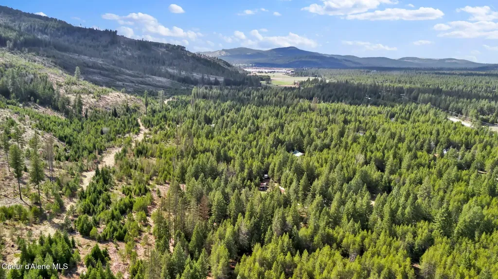 181 E Deer Meadow Lane Blanchard ID 83804