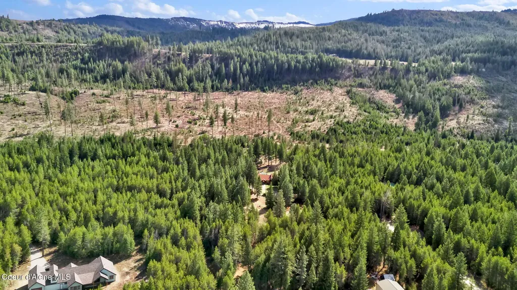 181 E Deer Meadow Lane Blanchard ID 83804