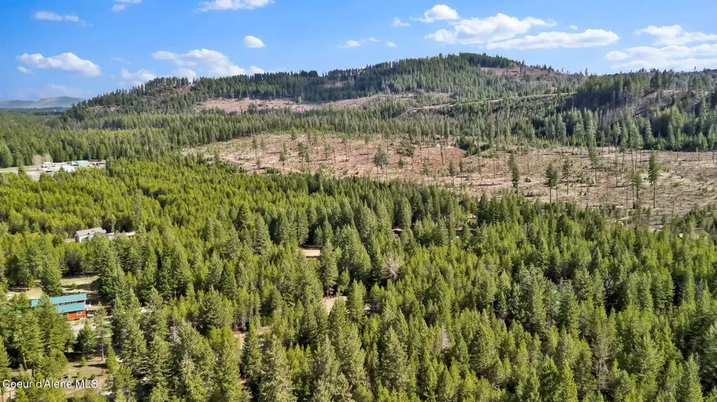 181 E Deer Meadow Lane Blanchard ID 83804