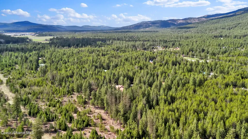 181 E Deer Meadow Lane Blanchard ID 83804