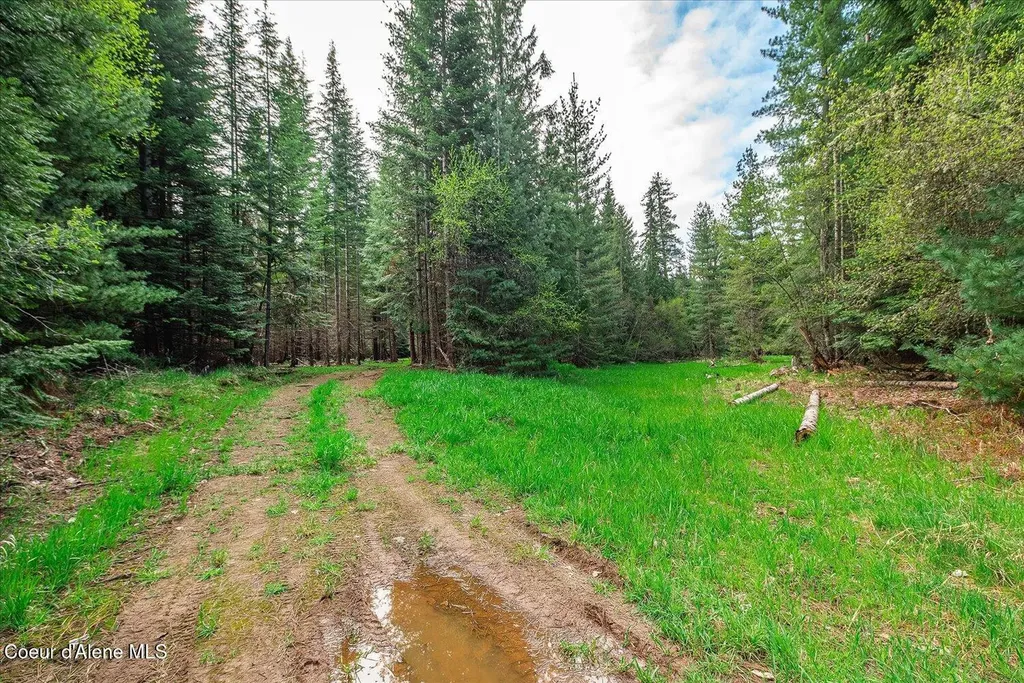 36524 E Canyon Road Cataldo ID 83810