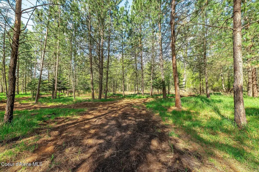 36524 E Canyon Road Cataldo ID 83810