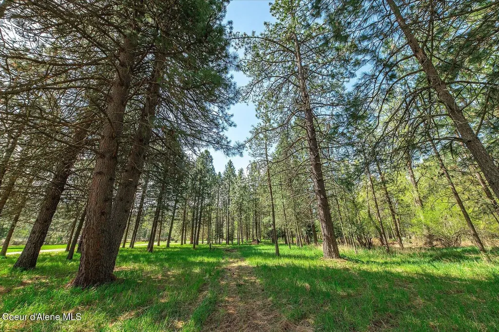 36524 E Canyon Road Cataldo ID 83810