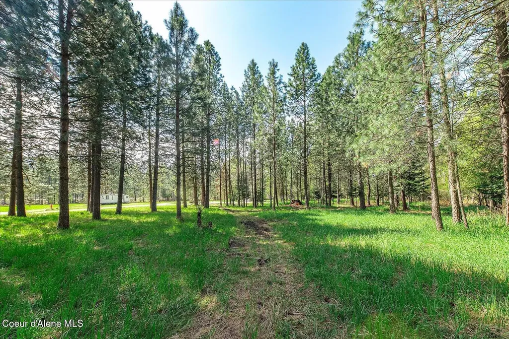 36524 E Canyon Road Cataldo ID 83810
