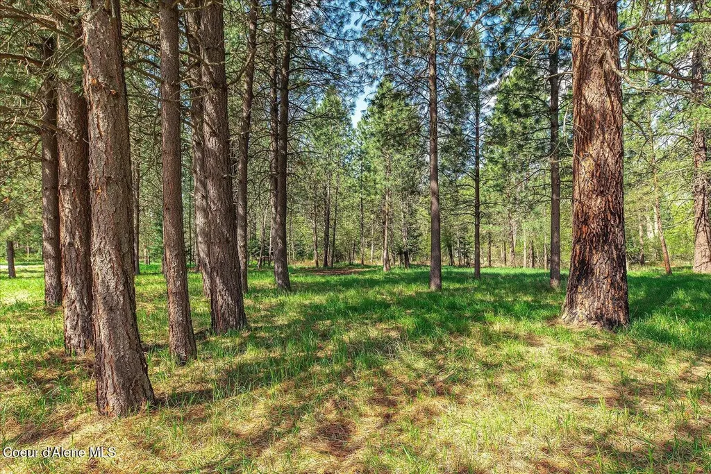 36524 E Canyon Road Cataldo ID 83810