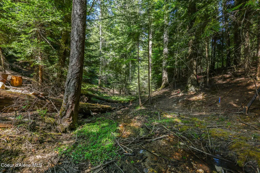 6079 E Hayden Lake Road Hayden ID 83835