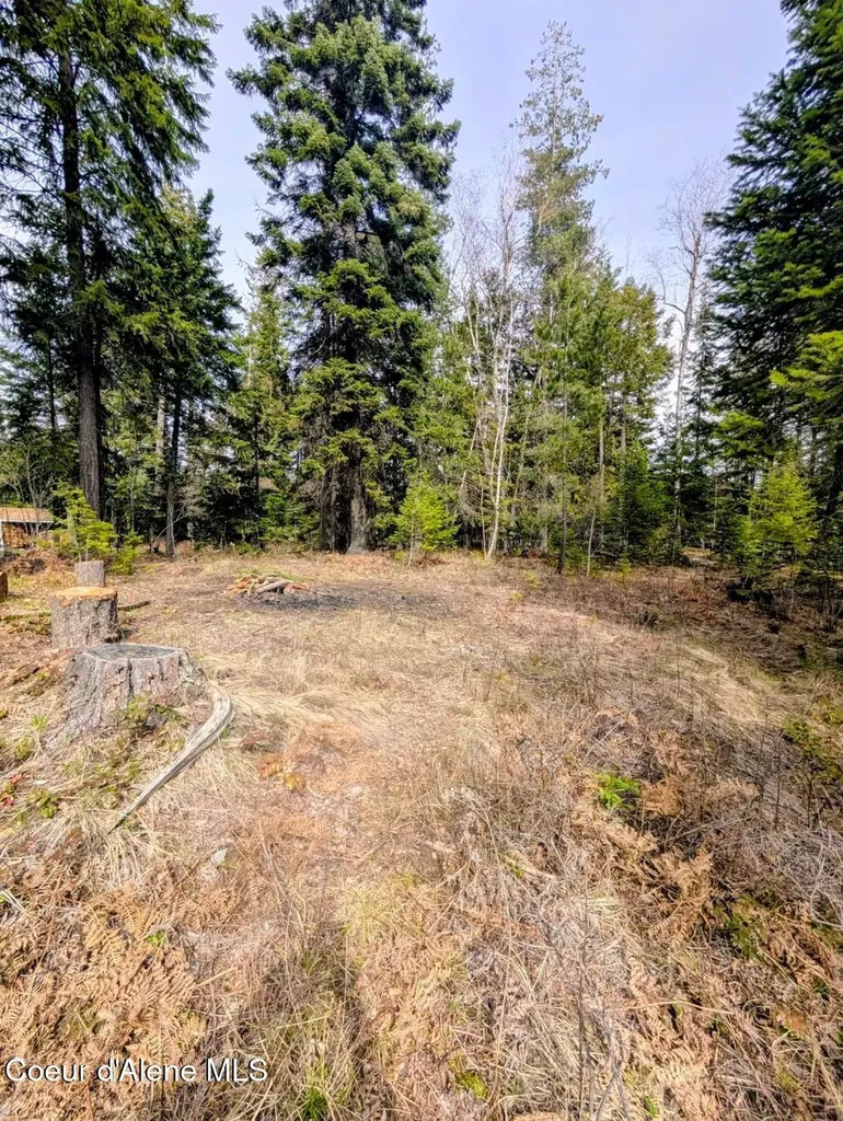 845 Cougar Road Naples ID 83847