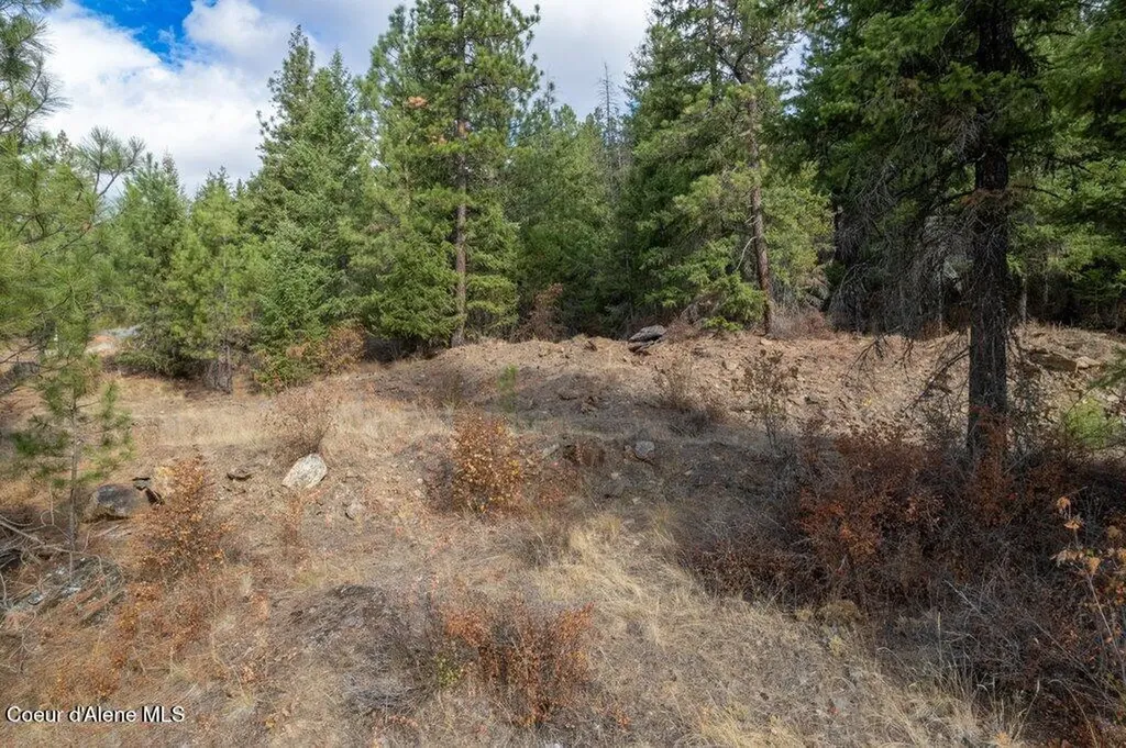 Akre Heights Drive Lot 17 Blanchard ID 83804