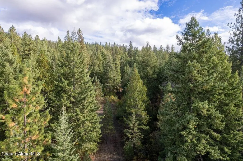 Akre Heights Drive Lot 17 Blanchard ID 83804