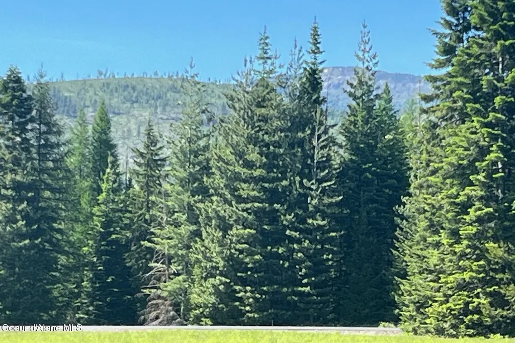 534 Saddleback Drive Naples ID 83847