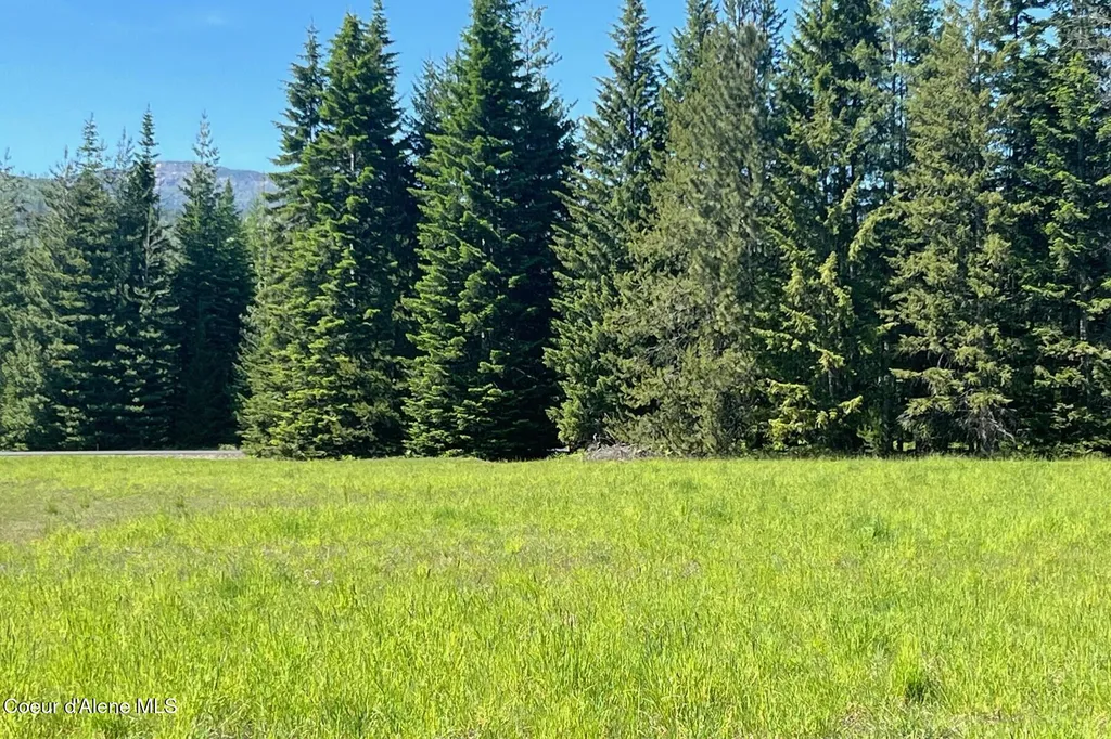 534 Saddleback Drive Naples ID 83847