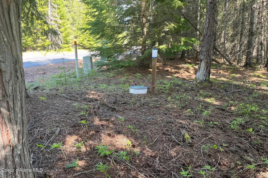 534 Saddleback Drive Naples ID 83847