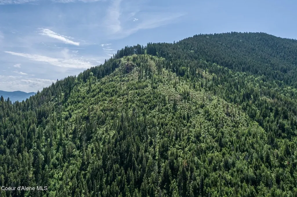69 Boreal Way Bonners Ferry ID 83805