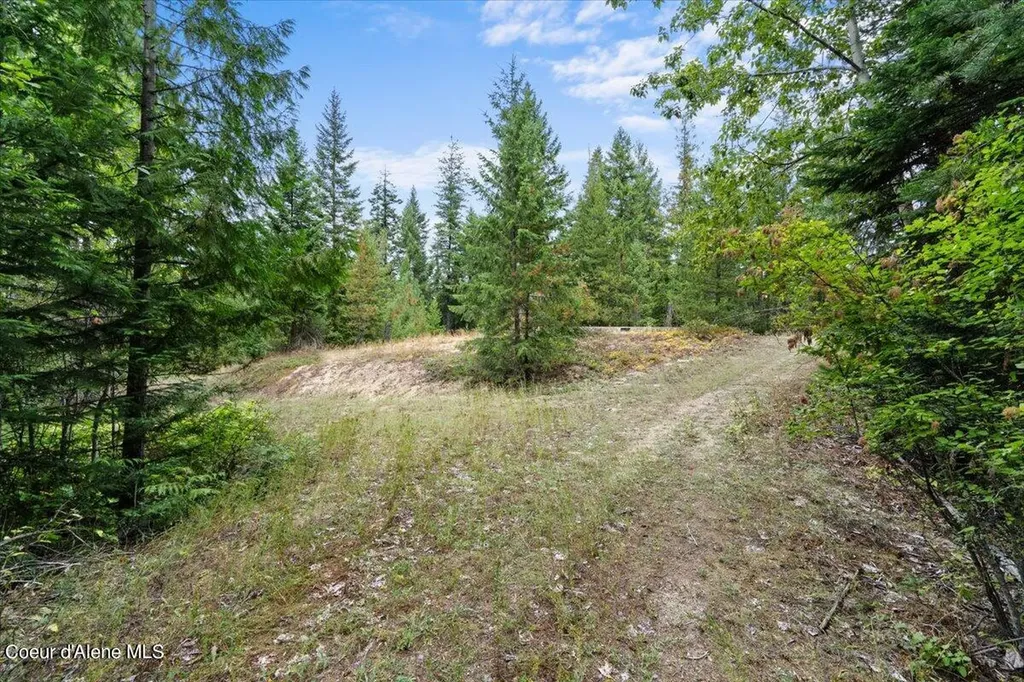 Nka 20-ac Schneiders Road Sagle ID 83860