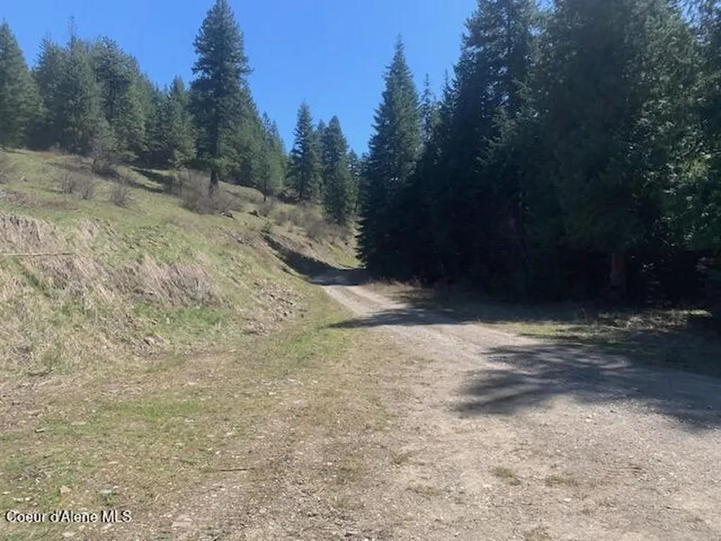 Carlin Creek Road #256 Harrison ID 83833