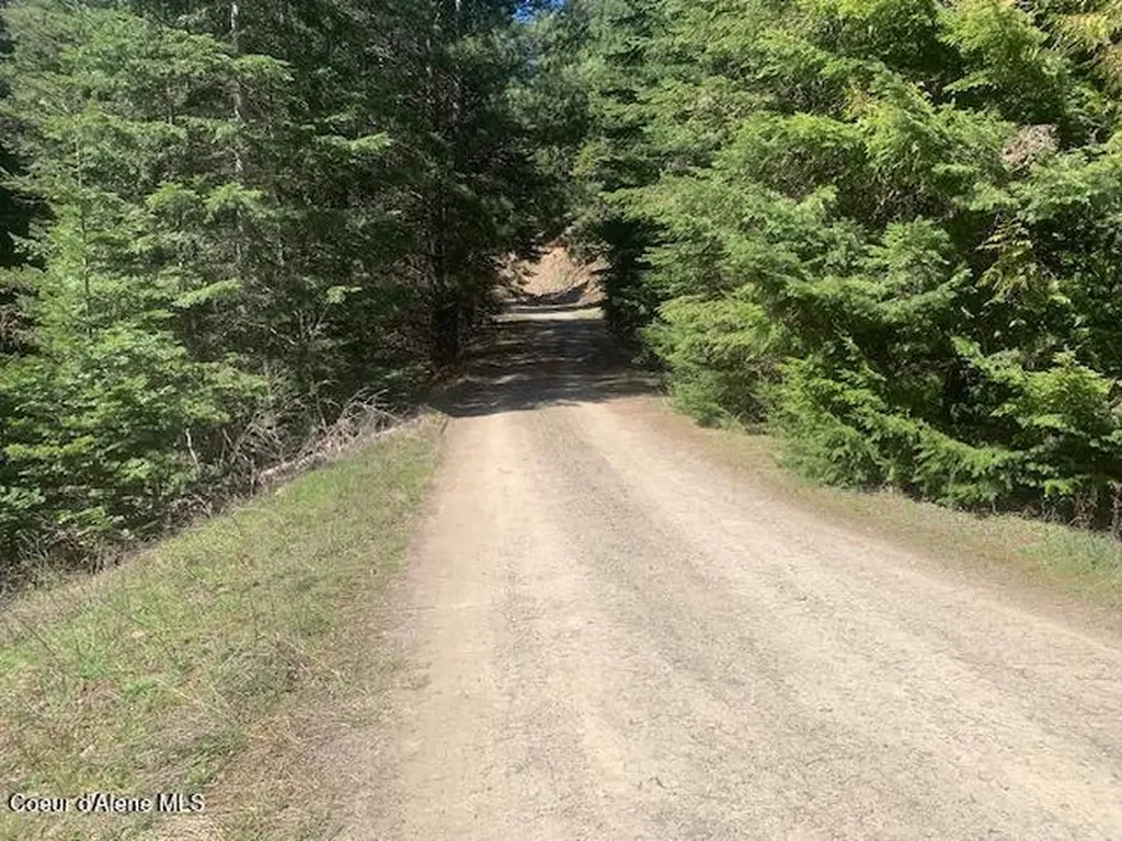 Carlin Creek Road #256 Harrison ID 83833