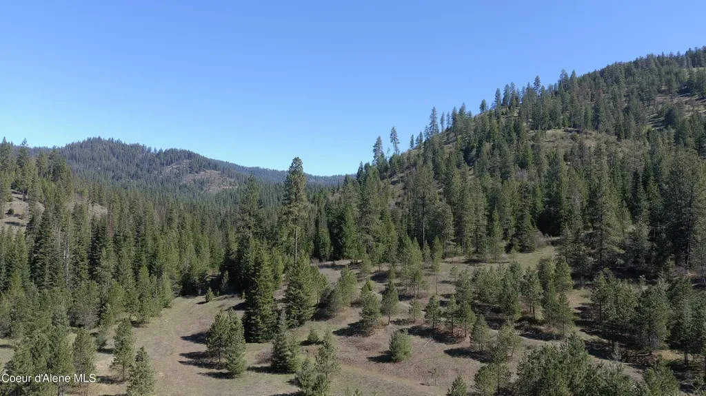 Carlin Creek Road #256 Harrison ID 83833