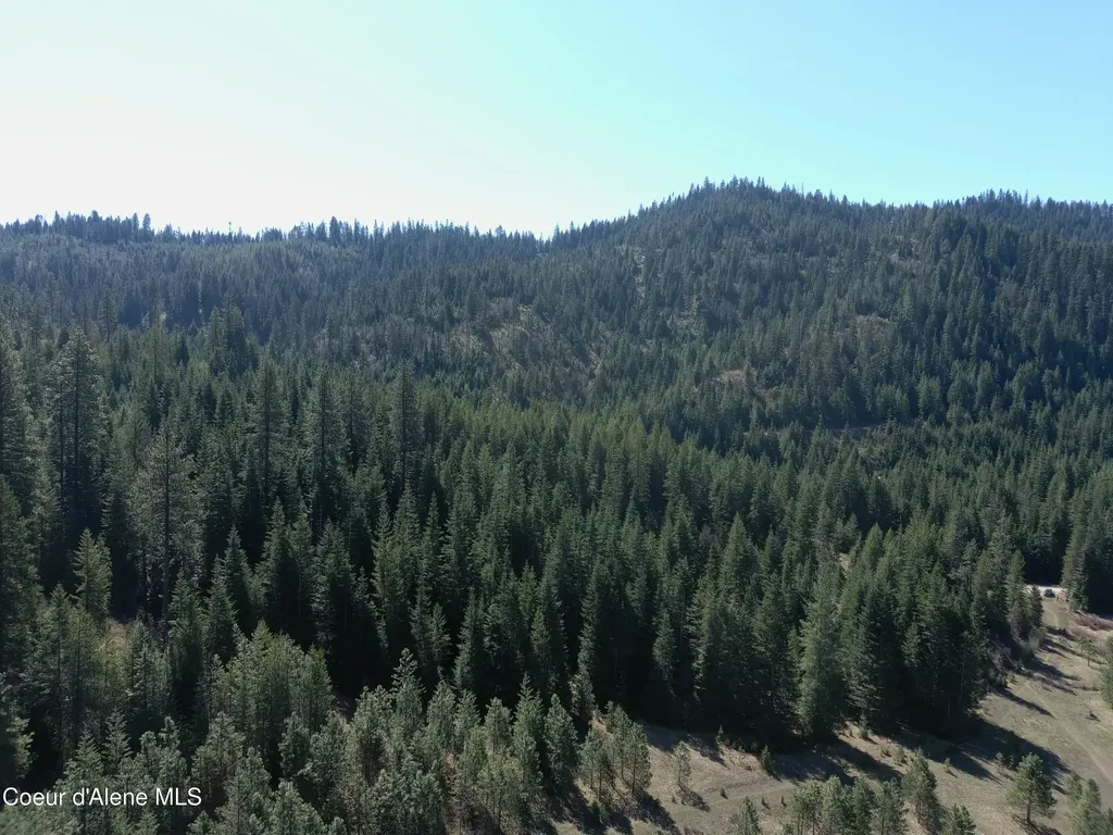 Carlin Creek Road #256 Harrison ID 83833