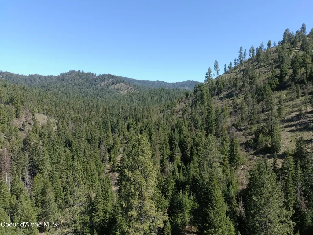 Carlin Creek Road #256 Harrison ID 83833
