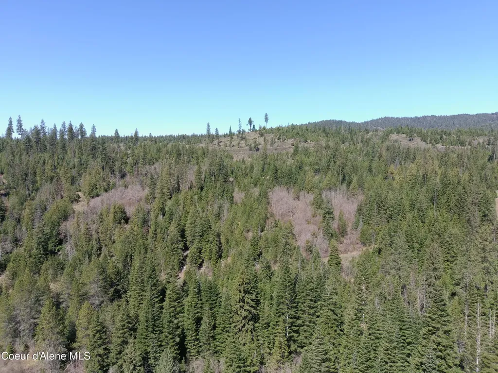 Carlin Creek Road #256 Harrison ID 83833