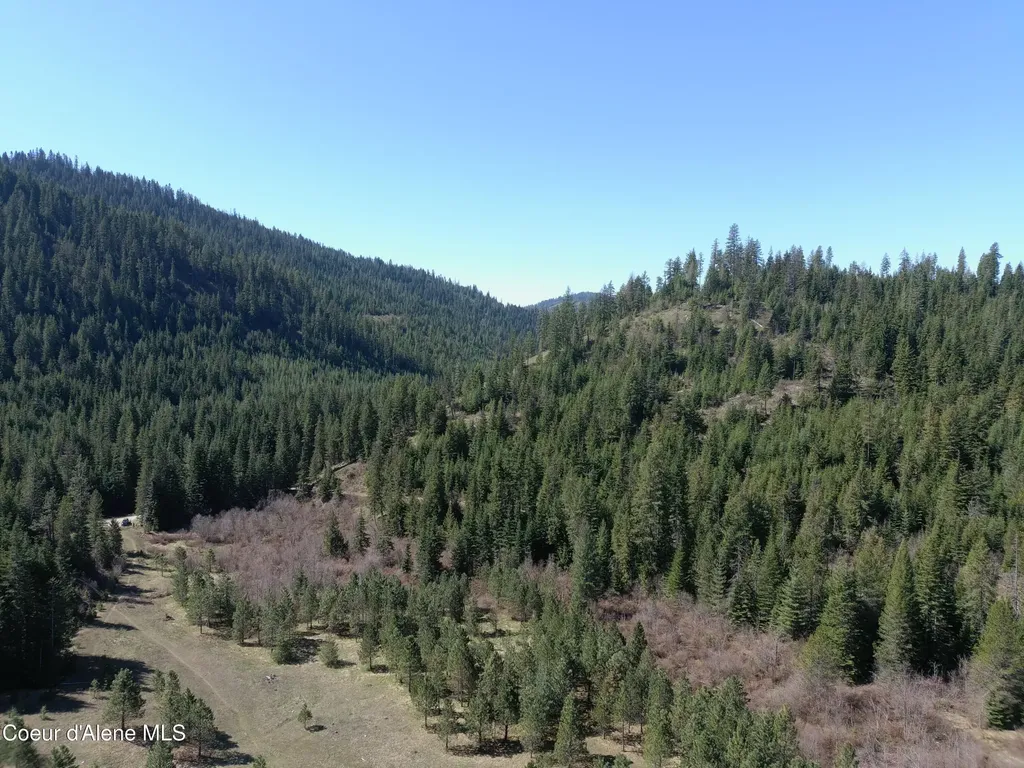 Carlin Creek Road #256 Harrison ID 83833