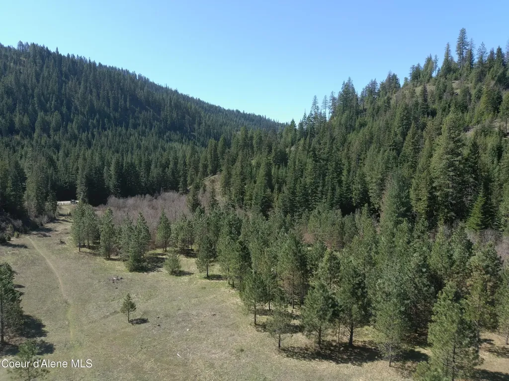 Carlin Creek Road #256 Harrison ID 83833