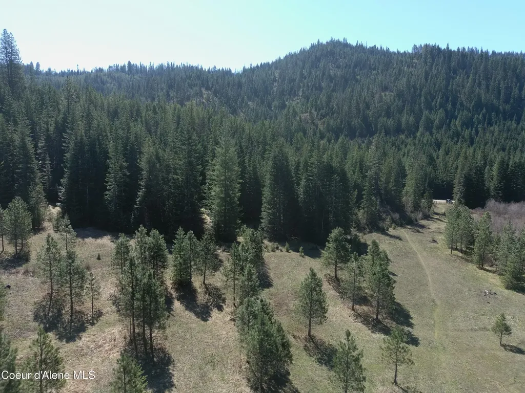 Carlin Creek Road #256 Harrison ID 83833