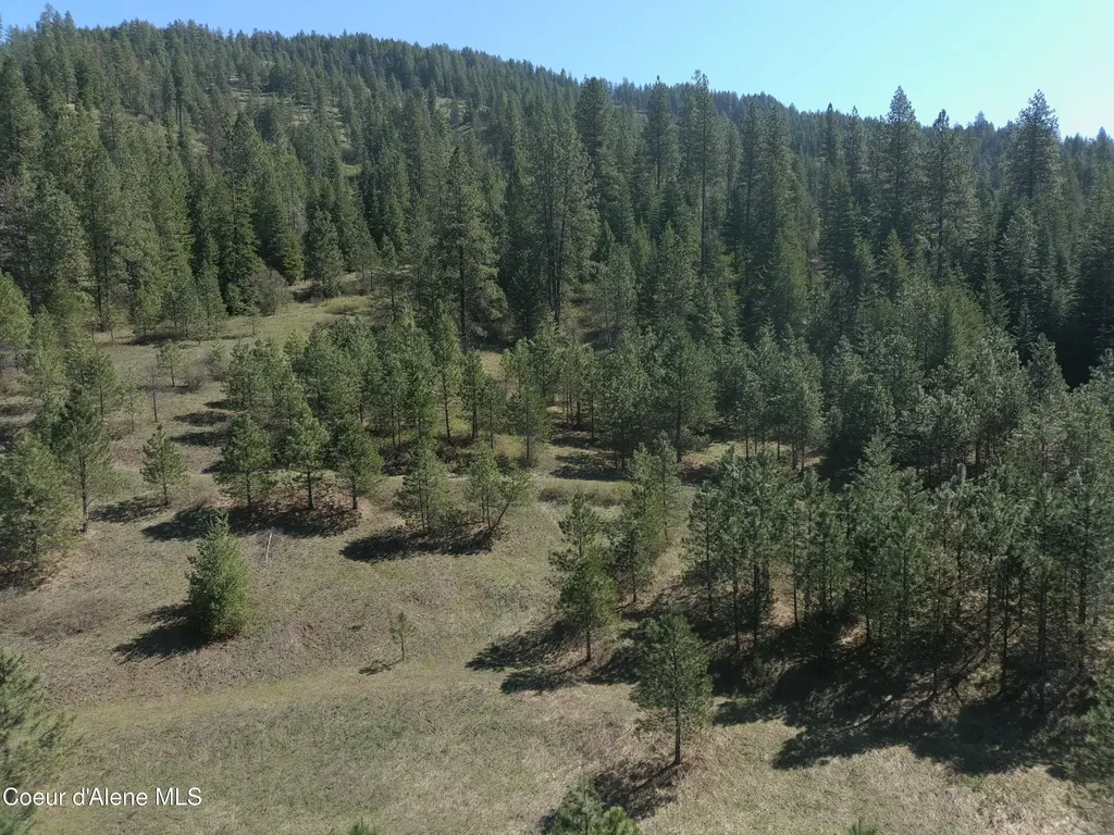 Carlin Creek Road #256 Harrison ID 83833