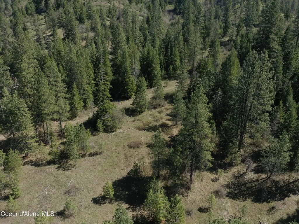 Carlin Creek Road #256 Harrison ID 83833