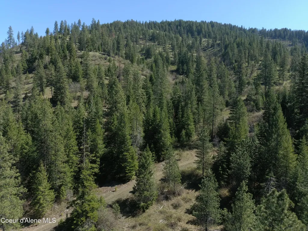 Carlin Creek Road #256 Harrison ID 83833