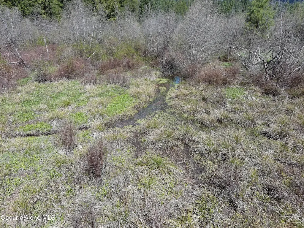Carlin Creek Road #256 Harrison ID 83833