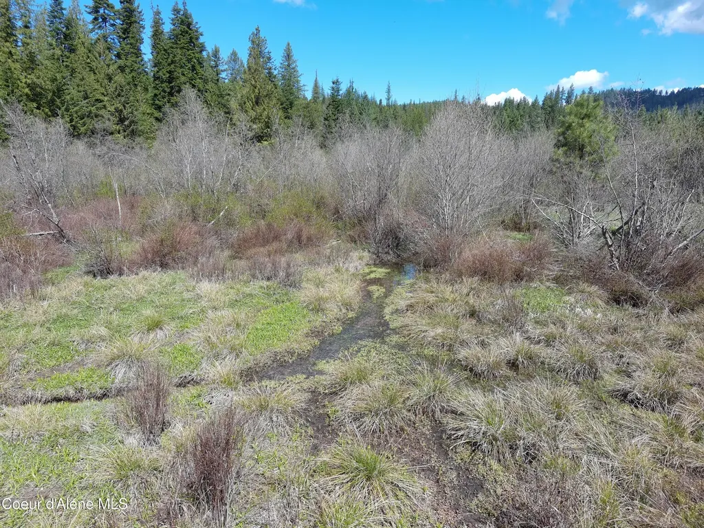 Carlin Creek Road #256 Harrison ID 83833