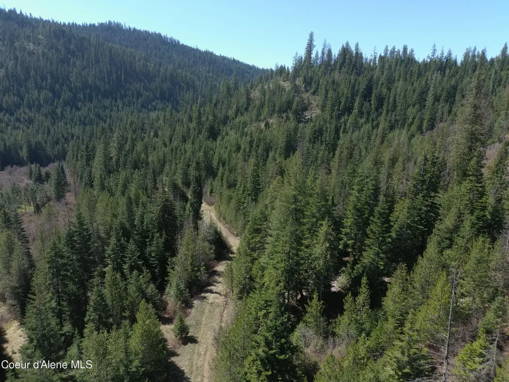 Carlin Creek Road #256 Harrison ID 83833