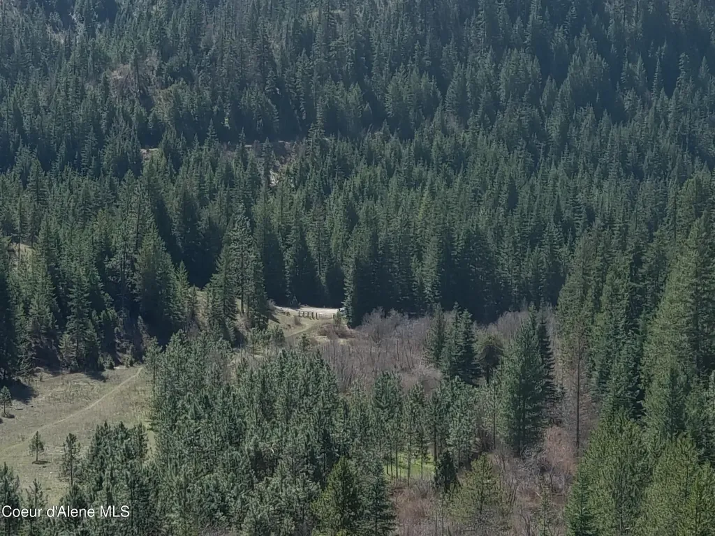 Carlin Creek Road #256 Harrison ID 83833