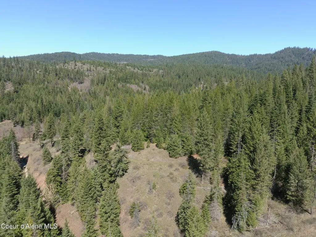 Carlin Creek Road #256 Harrison ID 83833