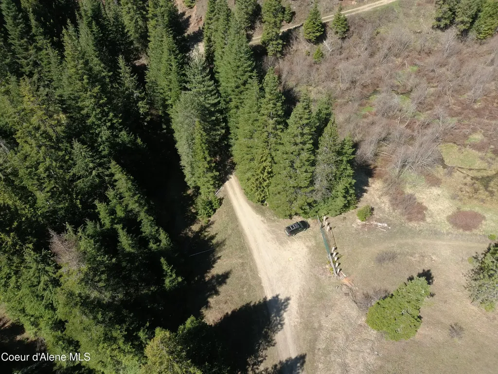 Carlin Creek Road #256 Harrison ID 83833