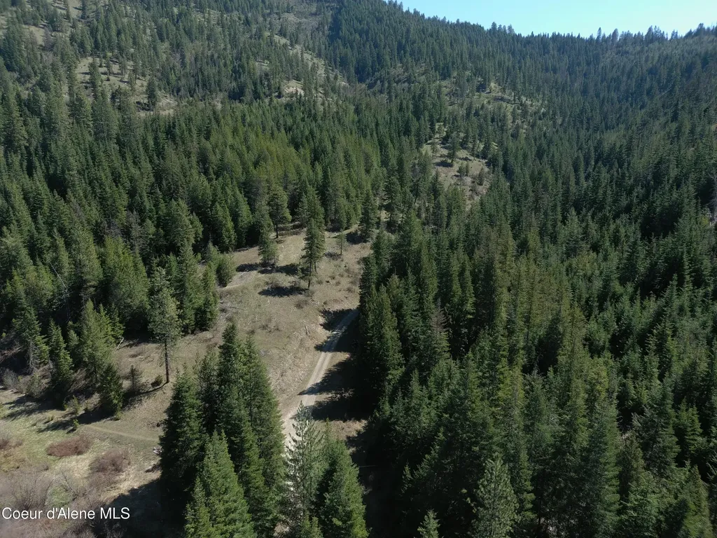 Carlin Creek Road #256 Harrison ID 83833