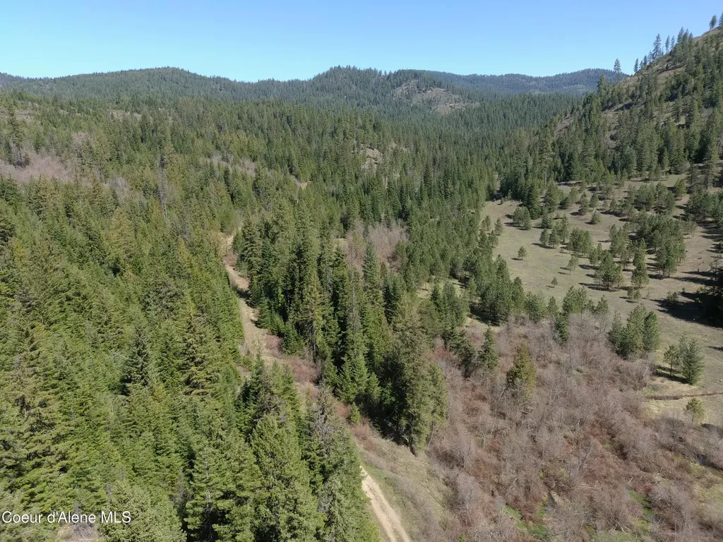 Carlin Creek Road #256 Harrison ID 83833