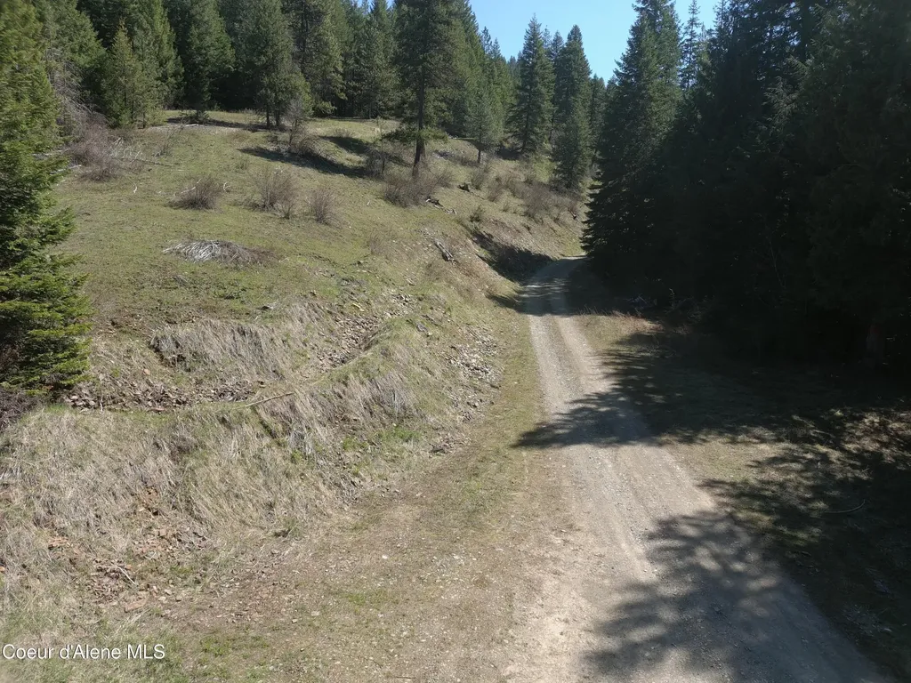 Carlin Creek Road #256 Harrison ID 83833