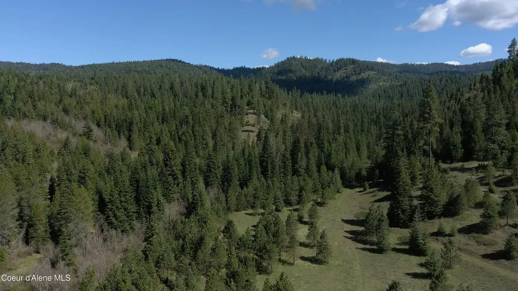 Carlin Creek Road #256 Harrison ID 83833