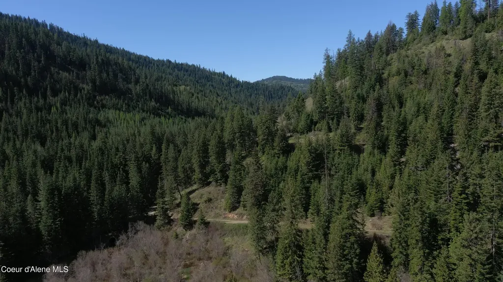 Carlin Creek Road #256 Harrison ID 83833