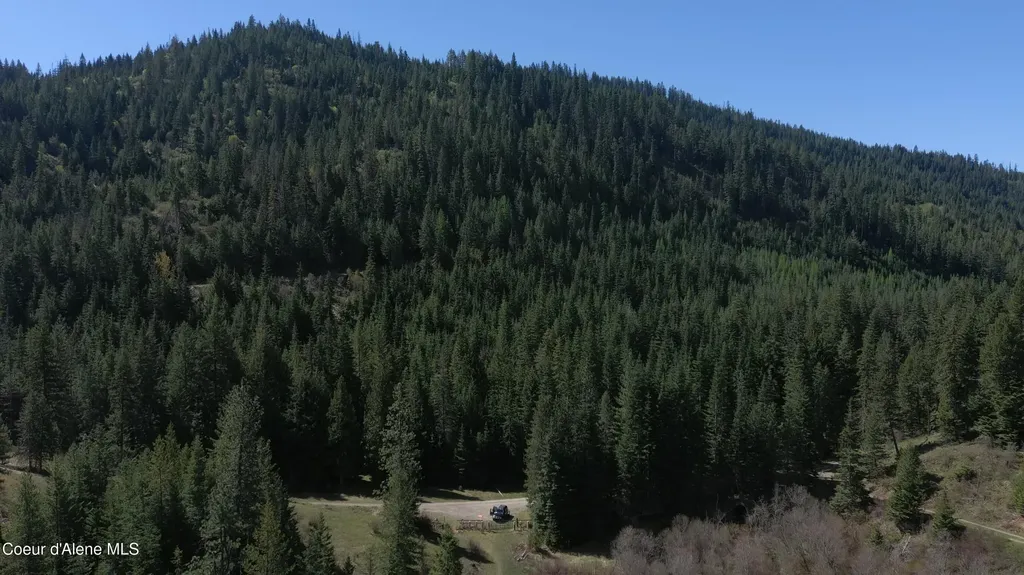Carlin Creek Road #256 Harrison ID 83833