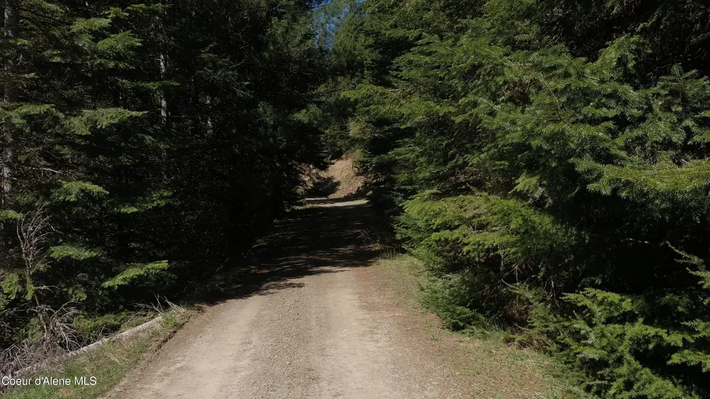 Carlin Creek Road #256 Harrison ID 83833