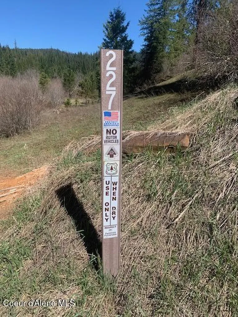 Carlin Creek Road #256 Harrison ID 83833