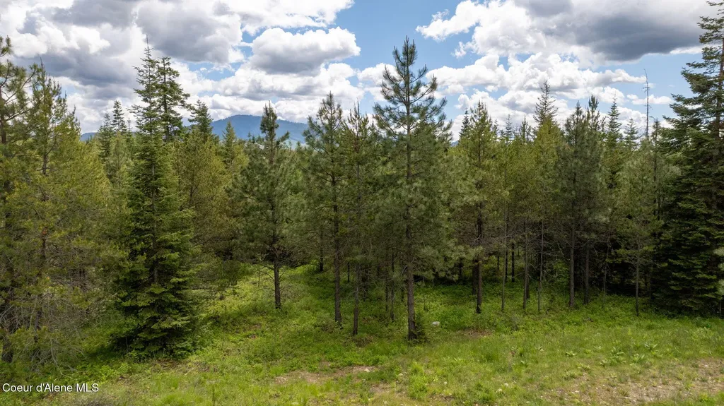 8917 E Riley Loop Athol ID 83801