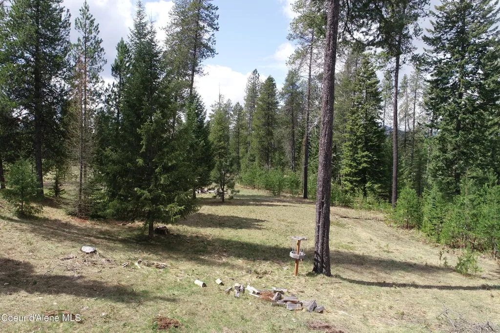 672 Hopkins Road Sandpoint ID 83864