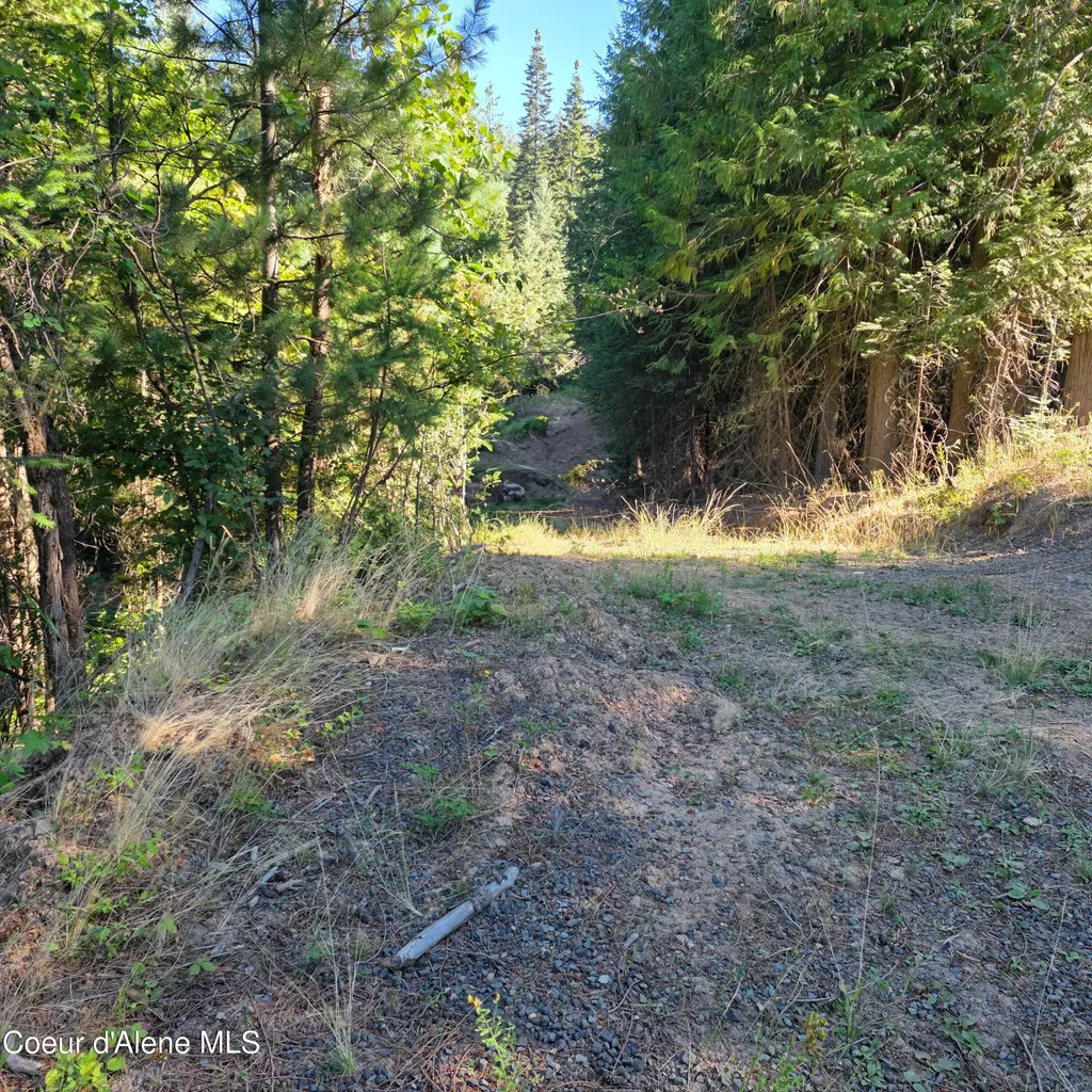 Nka Hells Gulch St. Maries ID 83861